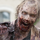 Illustration for article titled 10 Practical Tips for Surviving the Zombie Apocalypse